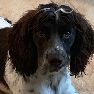 Meet your Posher, Claire